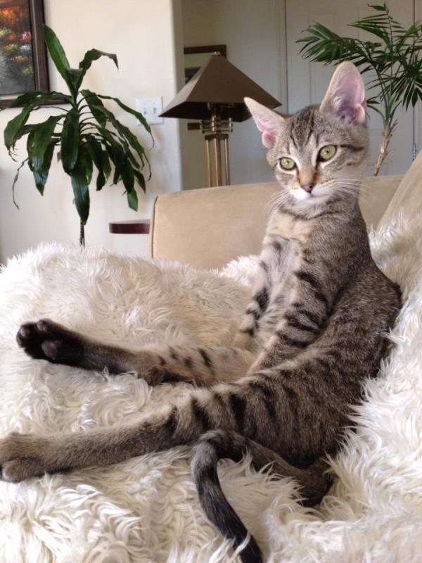 /Images/uploads/Humane Society of Utah/HSUCalendar/entries/1614thumb.jpg